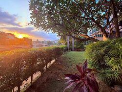 Paradise Island (D4), Detached #496514311